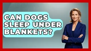 Can Dogs Sleep Under Blankets? - Sleep Wellness Workshop