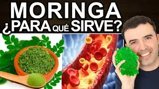 TE DE MORINGA - Como Hacerlo, Beneficios, Dosis Y Contraindicaciones