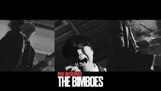 THE BIMBOES  - 𝐒𝐓𝐀𝐘 𝐀𝐋𝐈𝐕𝐄 - Trailer