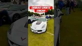 Chevrolet Corvette Stingray #shorts #car #supercar #sportscar