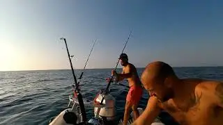 Pesca al tonno partenza Strike in diretta Agosto 2022 61 Zero Adriatico Tuna Fishing