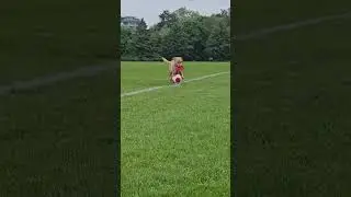 Dog Dribbles Soccer Ball!!!