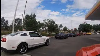 National mustang day