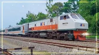 Epic Train Journey - Relaxing Train Passing ASMR - Powerful Engines & Steel Rails