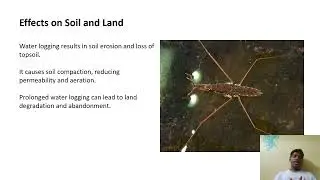 Water Logging  Causes, Effects, And Control Measures