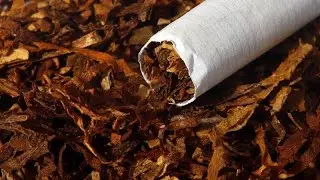 Panama: WHO conference on tobacco ends with emphasis on protection of the environment