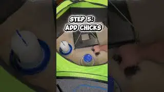 Looking for a clean, safe brooder for newly hatched chicks? We&rsquo;re setting up Insta-Brooder #brooder