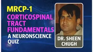 MRCP-1 Corticospinal Tract Fundamentals Quiz
