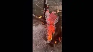 Fire Anomalies in Israel - Trees burning from the inside out. #fireanamolies