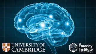 The Brain as a Neuronal Machine - Prof. Peter Clarke