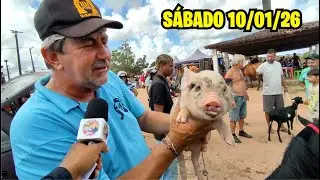 Feira de animais, caprinos, bovinos, suínos, aves e acessórios em Abreu e Lima-PE  Sábado: 10/01/26