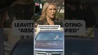 Leavitt calls fatal ICE shooting in Minneapolis &lsquo;absolutely justified&rsquo;