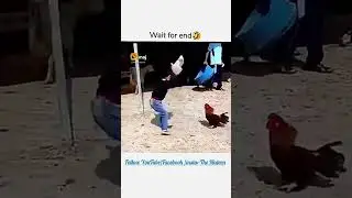 Wait for end😂😁😂