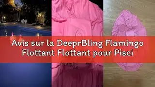 Avis sur la DeeprBling Flamingo Flottant Flottant pour Piscine, Lumi&egrave;re Solaire Gonflable pour Bassi