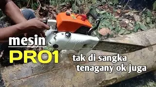 #membelah kayu glondongan menggunakan mesin sinsow pro1#perajin kayu#fyf