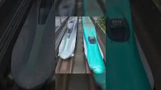 How a Bird Fixed Bullet Train?