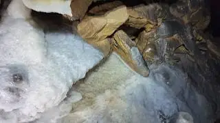 Looking For 10,000 Year Old Jaguar Bones In A Crystal Cave