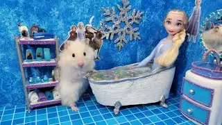 🐹 Hamster Escapes the Creative Maze for Pets in real life 🐹 in Hamster Stories|Elsa & Anna