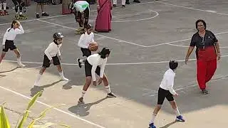 THE BSS SCHOOL Primary Section Fest! 2024