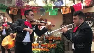Epcot Mariachi singing songs from Coco Poco Loco