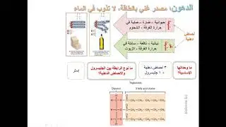 الدهون