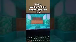 Selling Prismarine Mini base on the Donut Smp Comment offers #donutsmp #drdonut #minecraft