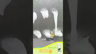 спрей 2