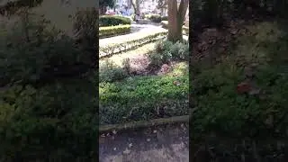 parque Sucio Maria Enriqueta Xalapa