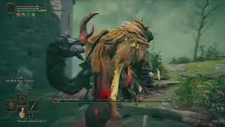 Elden Ring Blackflame Only Pt 1