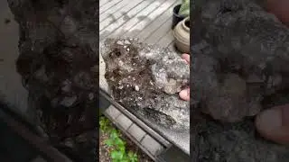 California smoky quartz cluster before and after