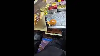 First-Person Burger Assembly | Live from Chinese Night Market | No Commentary