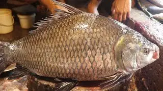 Unbelievable!! ALIVE HEAD AFTER CUTTING | BIG CATLA CARP FISH CUTTING LIVE IN BD FISH MARKET