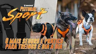 O Peitoral mais seguro e prático para treinos e dia a dia. Peitoral Sport BANDOG.