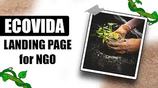 My First Programming Project: A Landing Page for an Environmental NGO