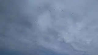 VID 20200611 184048