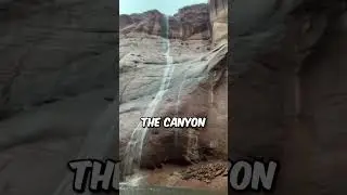 Вода &mdash; это не шутка #шорты
