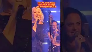 Kim Wilde & niece live 2025 stuttgart viewfromABridge  shorts  #newwave #shortsfeed #live #80smusic