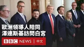現場畫面：歐洲多國領導人陪同澤連斯基訪問白宮  與特朗普會晤－ BBC News 中文 #川普 #澤倫斯基 #俄烏戰爭