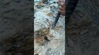 Natural Agate Gemstone Under Rock #crystals #treasurehunti #golddiscovery #mining #findinggems