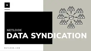 NetLook's Automotive Data Syndication