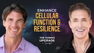 Bioenergetics: The Secret To More Energy with Harry Massey | 1177 | Dave Asprey
