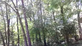 Zing bow review