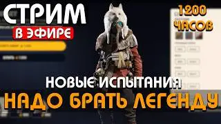 1200 ЧАСОВ - ИСПЫТАНИЯ СЕГОДНЯ - ПЛОТНАЯ ОБНОВА 24! РОЗЫГРЫШ DLC К ARC #arcraiders #аркрайдерс