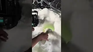 Huge 30 1/2 inch walleye release #walleye ￼