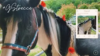 TUTORIAL TRECCE  alla FRANCESE✨ep.1 ✨||GS||