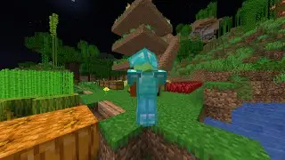 My Perfect Start To This SMP