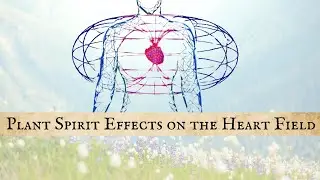 Plant Spirit Medicine | Effects on the Heart Field
