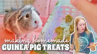 Making Homemade Guinea Pig Treats! 🍬