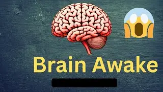 Scarest reason Why Your Brain Never Truly Sleeps (Even When You Think It Does)