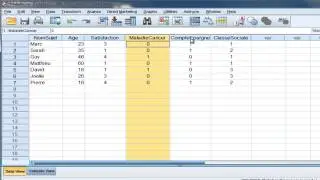 SPSS (tutoriel)/ Les types de variables
